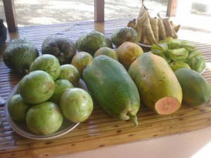 palawan-organic-fruits
