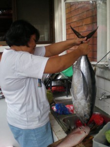 yellow-fin-tuna