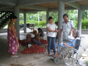sacking our 50 kilos of rambutan