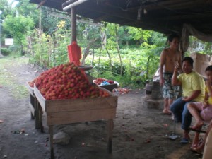 a rambutan seller
