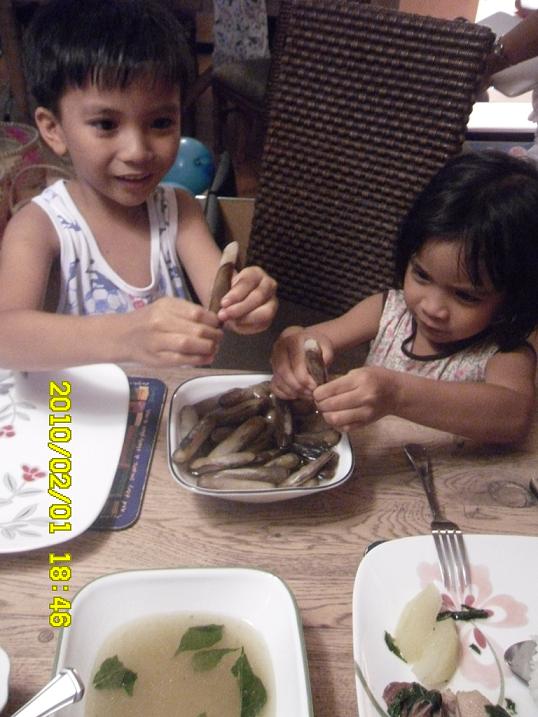 amazed-at-live-bamboo-shell-clams