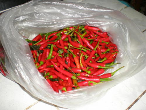 Thai Cayenne