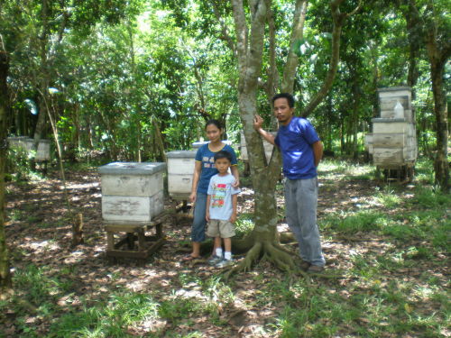 The honey farm