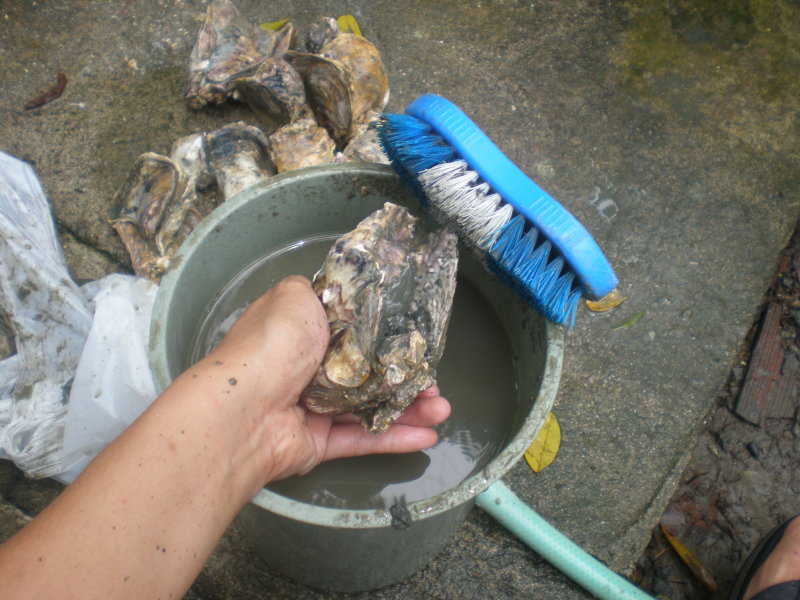 Use the brush on the oyster