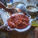 cooked river shrimp